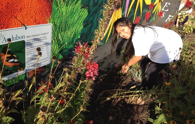 Improving Baltimore for Birds and People